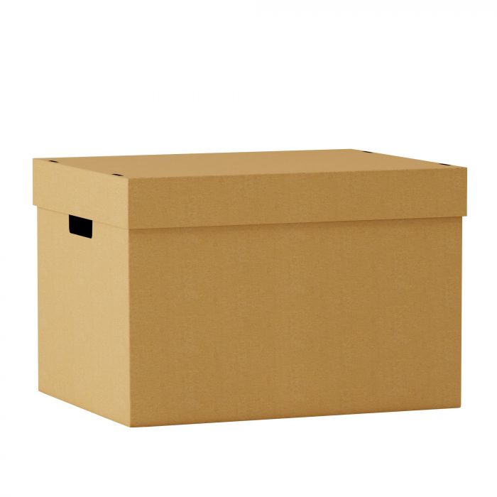 Corrugated / Filing Boxes